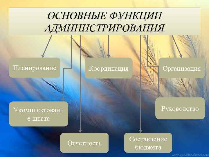 ОСНОВНЫЕ ФУНКЦИИ АДМИНИСТРИРОВАНИЯ Планирование Координация Организация Руководство Укомплектовани е штата Отчетность Составление бюджета 