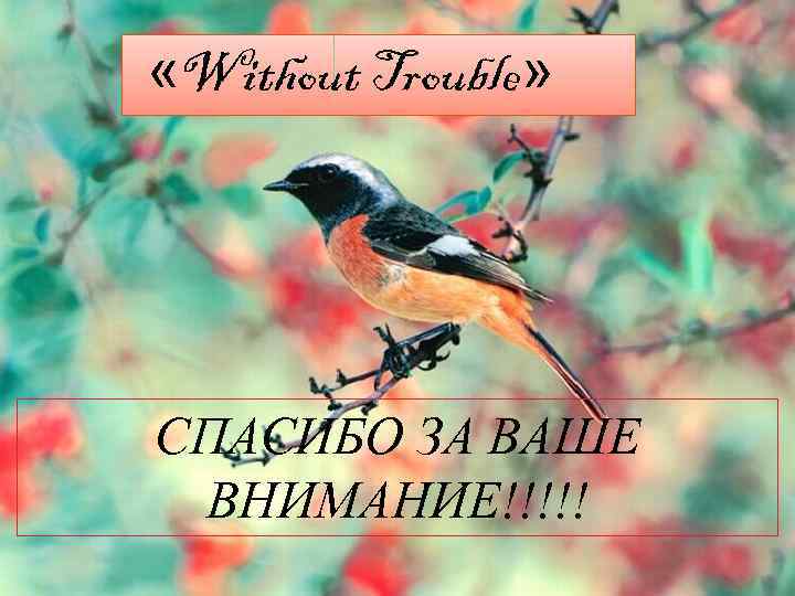  «Without Trouble» СПАСИБО ЗА ВАШЕ ВНИМАНИЕ!!!!! 
