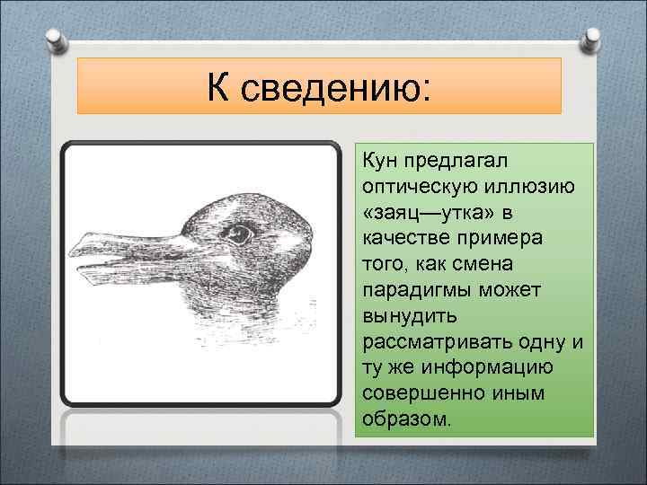 К сведению: Кун предлагал оптическую иллюзию «заяц—утка» в качестве примера того, как смена парадигмы