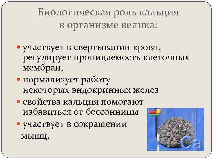 Биологическая роль кальция в организме велика: участвует в свертывании крови, регулирует проницаемость клеточных мембран;