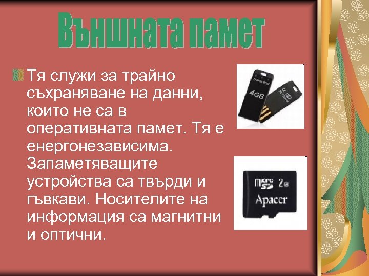 Тя служи за трайно съхраняване на данни, които не са в оперативната памет. Тя