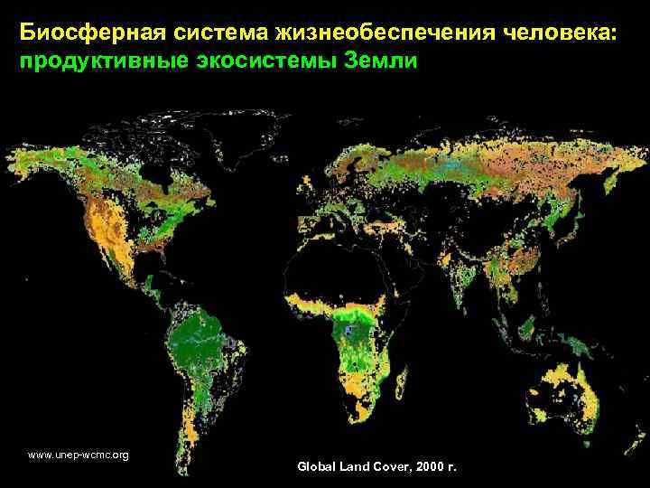 Биосферная система жизнеобеспечения человека: продуктивные экосистемы Земли www. unep-wcmc. org Global Land Cover, 2000