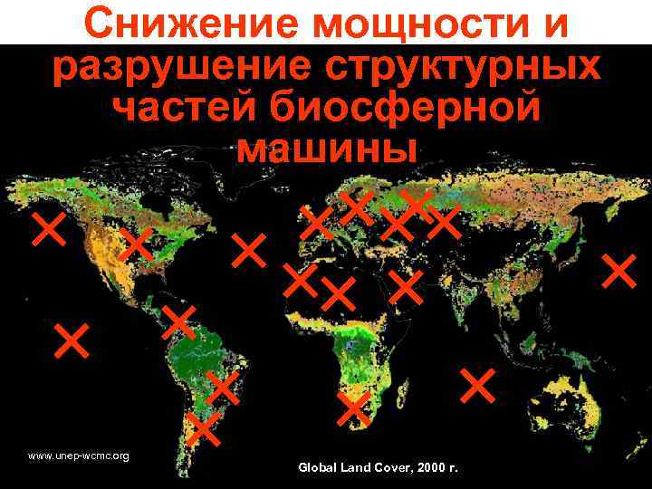 Снижение мощности и разрушение структурных частей биосферной машины www. unep-wcmc. org Global Land Cover,