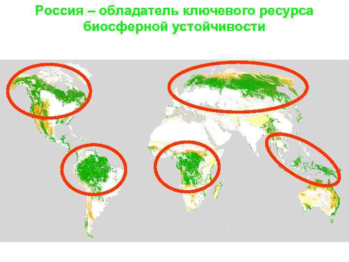 Россия – обладатель ключевого ресурса биосферной устойчивости Крупнейшие массивы природных экосистем в мире 