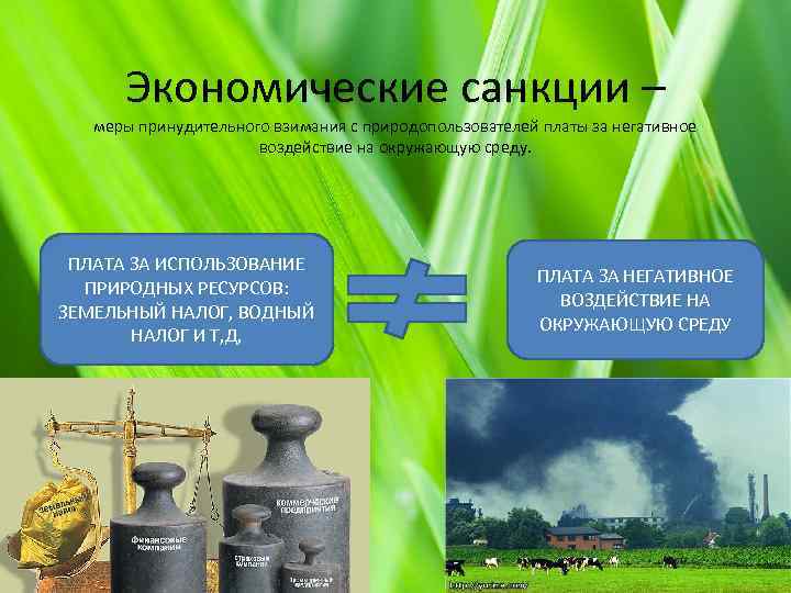 Экономические санкции – меры принудительного взимания с природопользователей платы за негативное воздействие на окружающую