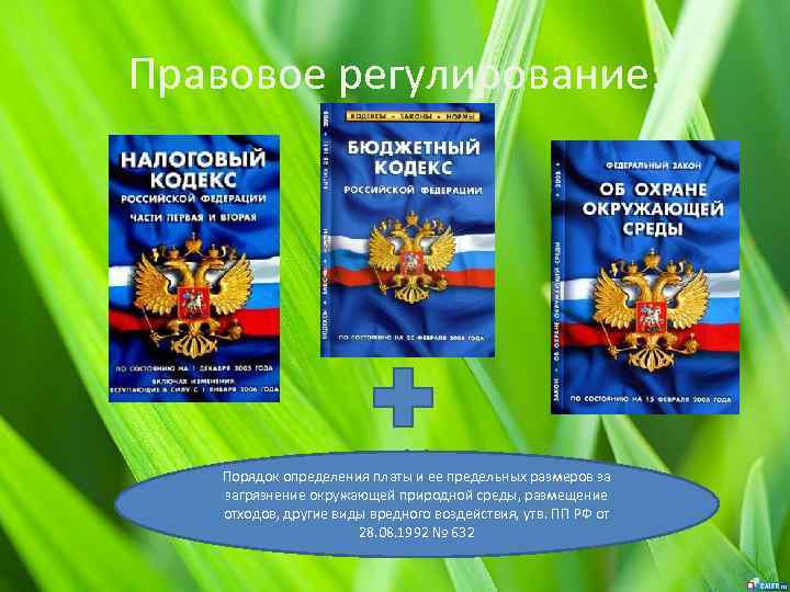Правовое регулирование: Порядок определения платы и ее предельных размеров за загрязнение окружающей природной среды,
