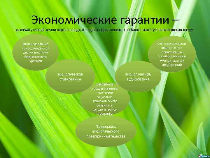 Экономические гарантии – система условий реализации и средств защиты права каждого на благоприятную окружающую