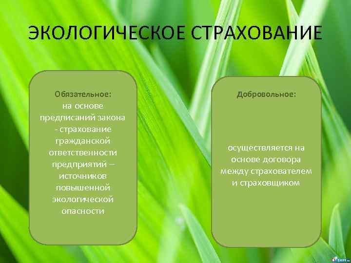 Экологическое страхование картинки