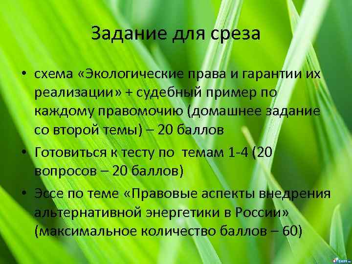 Задание для среза • схема «Экологические права и гарантии их реализации» + судебный пример