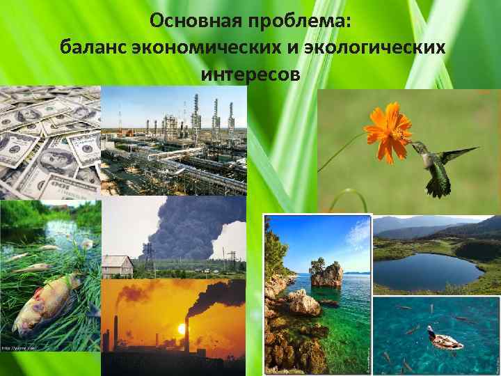 Основная проблема: баланс экономических и экологических интересов 