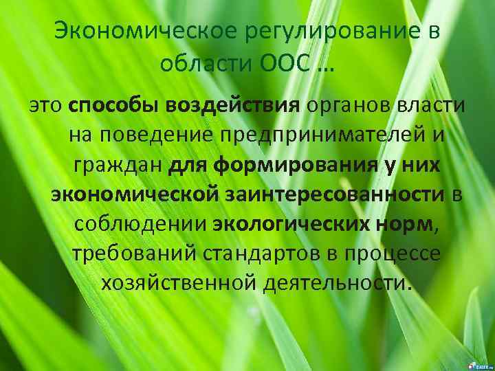 Экономическое регулирование в области ООС … это способы воздействия органов власти на поведение предпринимателей