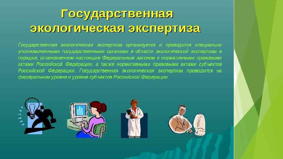 Общественная экологическая экспертиза