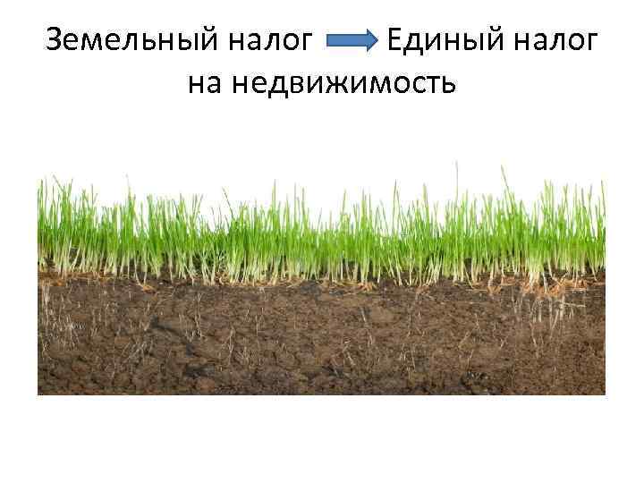 Земельный налог Единый налог на недвижимость 