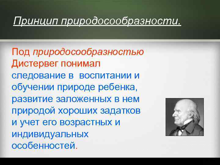 Адольф дистервег презентация