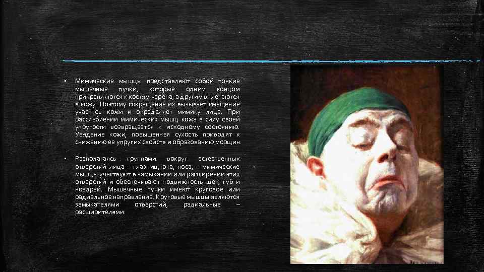 § Мимические мышцы представляют собой тонкие мышечные пучки, которые одним концом прикрепляются к костям