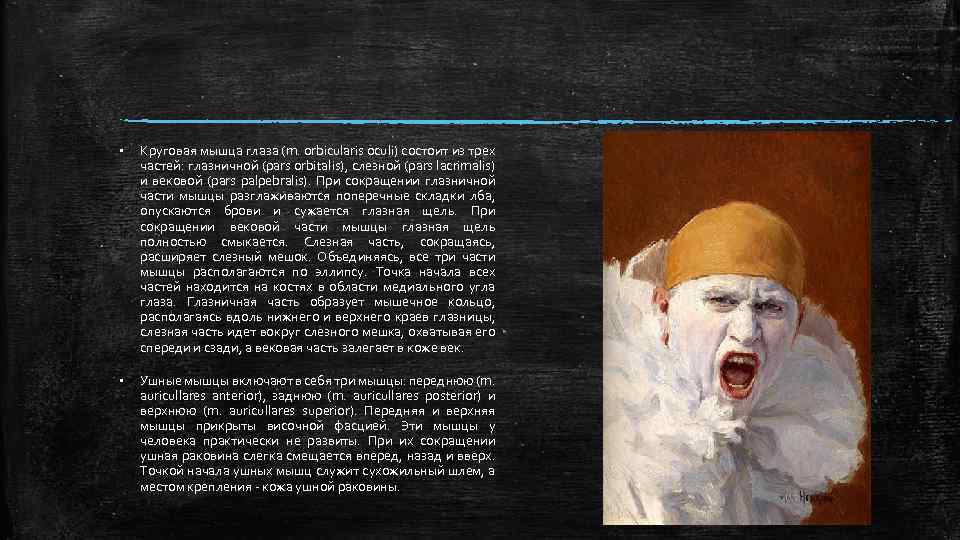 § Круговая мышца глаза (m. orbicularis oculi) состоит из трех частей: глазничной (pars orbitalis),