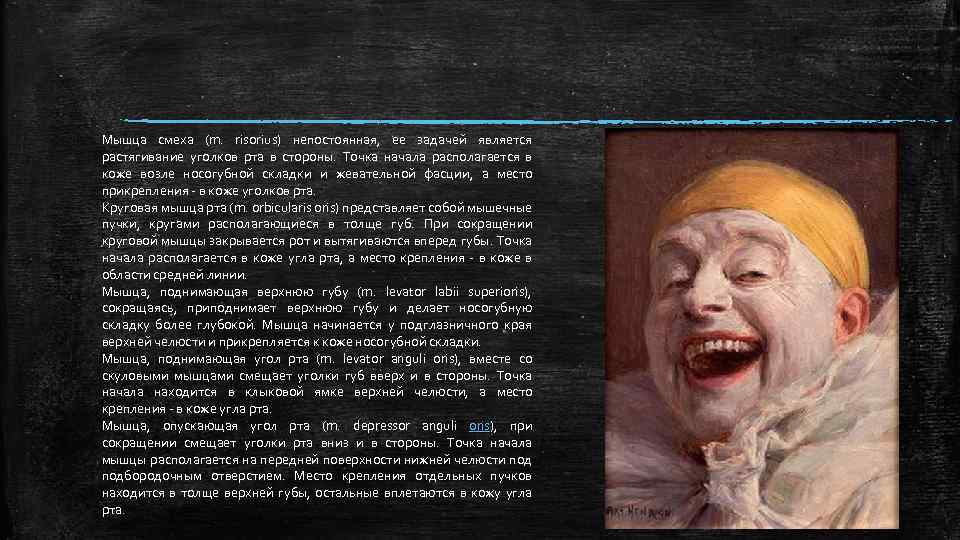 Мышца смеха (m. risorius) непостоянная, ее задачей является растягивание уголков рта в стороны. Точка