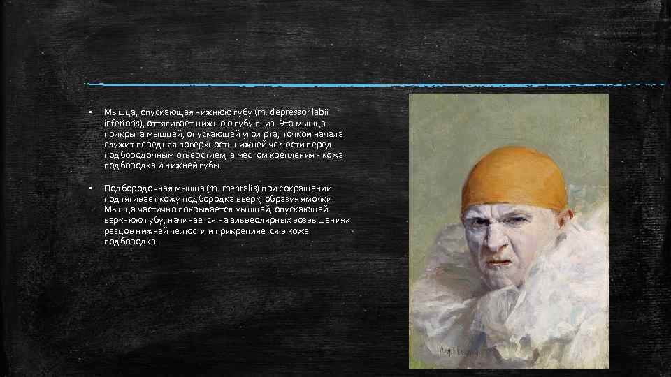 § Мышца, опускающая нижнюю губу (m. depressor labii inferioris), оттягивает нижнюю губу вниз. Эта