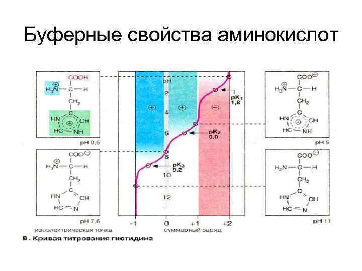 Буферные свойства аминокислот 