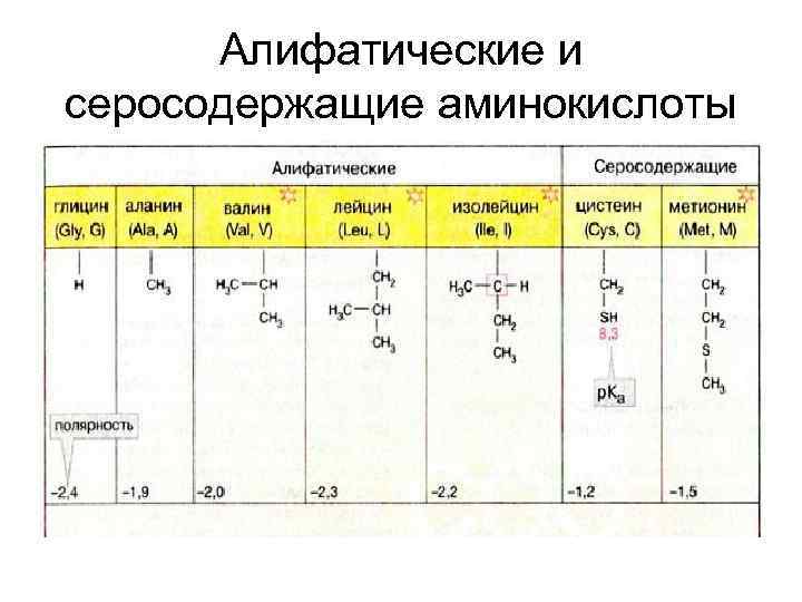 Алифатические и серосодержащие аминокислоты 