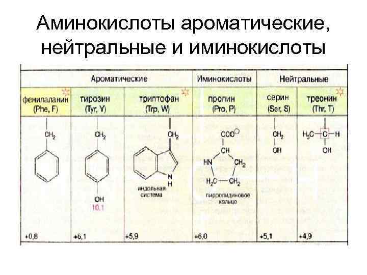 Аминокислоты ароматические, нейтральные и иминокислоты 