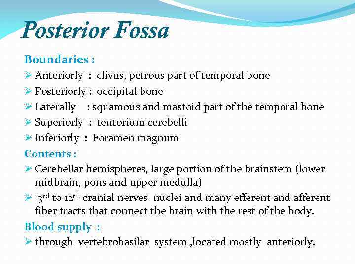 Posterior Fossa Boundaries : Ø Anteriorly : clivus, petrous part of temporal bone Ø