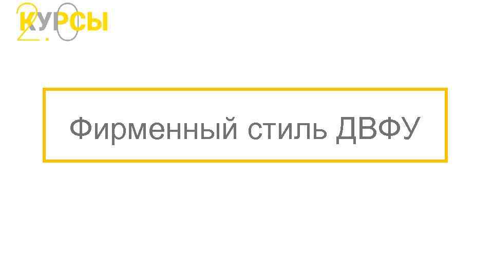 Фирменный стиль ДВФУ 