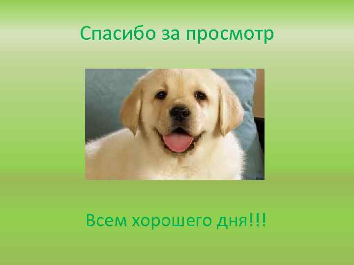 Спасибо за просмотр Всем хорошего дня!!! 