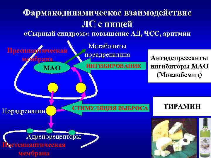 Фармакодинамическое взаимодействие ЛС с пищей «Сырный синдром» : повышение АД, ЧСС, аритмии Метаболиты норадреналина