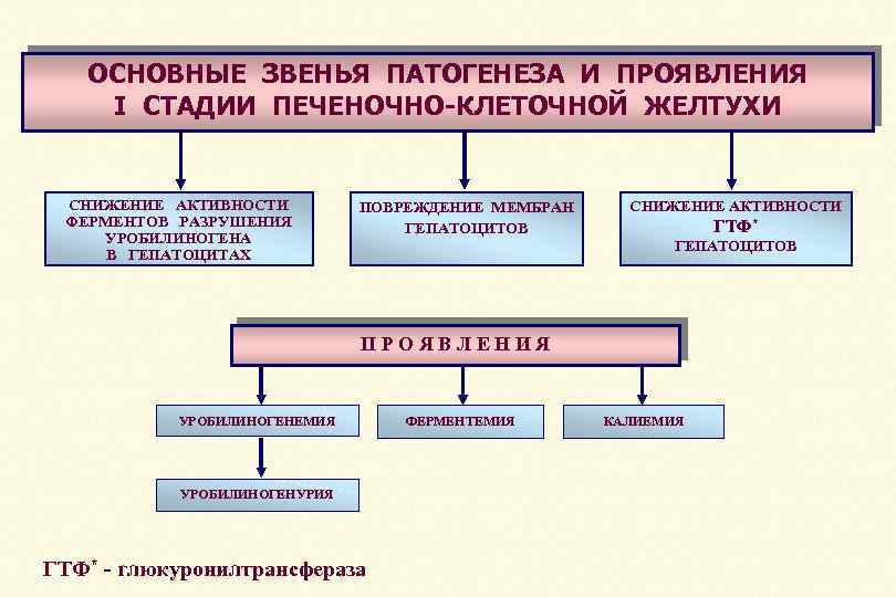 Звенья патогенеза. Основное звено патогенеза. Основное звено патогенеза примеры. Второстепенные звенья патогенеза. Пример главного звена патогенеза.