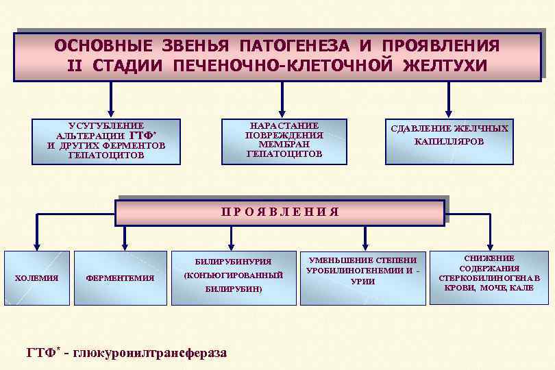 ОСНОВНЫЕ ЗВЕНЬЯ ПАТОГЕНЕЗА И ПРОЯВЛЕНИЯ II СТАДИИ ПЕЧЕНОЧНО-КЛЕТОЧНОЙ ЖЕЛТУХИ УСУГУБЛЕНИЕ АЛЬТЕРАЦИИ ГТФ* И ДРУГИХ