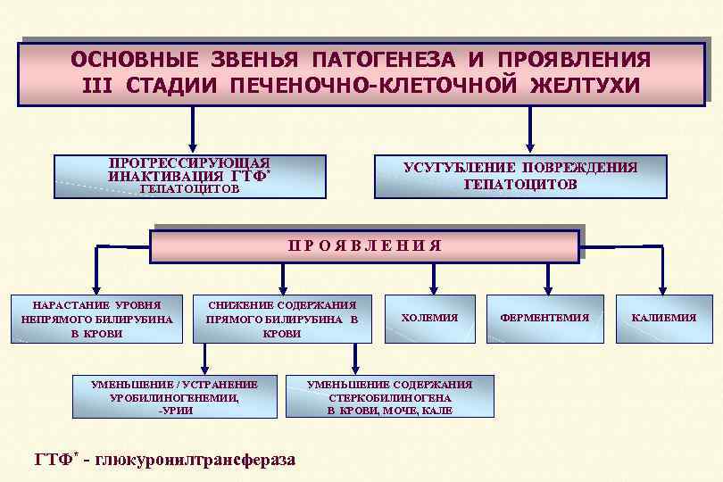 Печеночная недостаточность патофизиология. Гемолитическая желтуха патогенез патофизиология. Патогенез желтухи патофизиология. Печеночная желтуха патофизиология. Патофизиология печень желтуха.