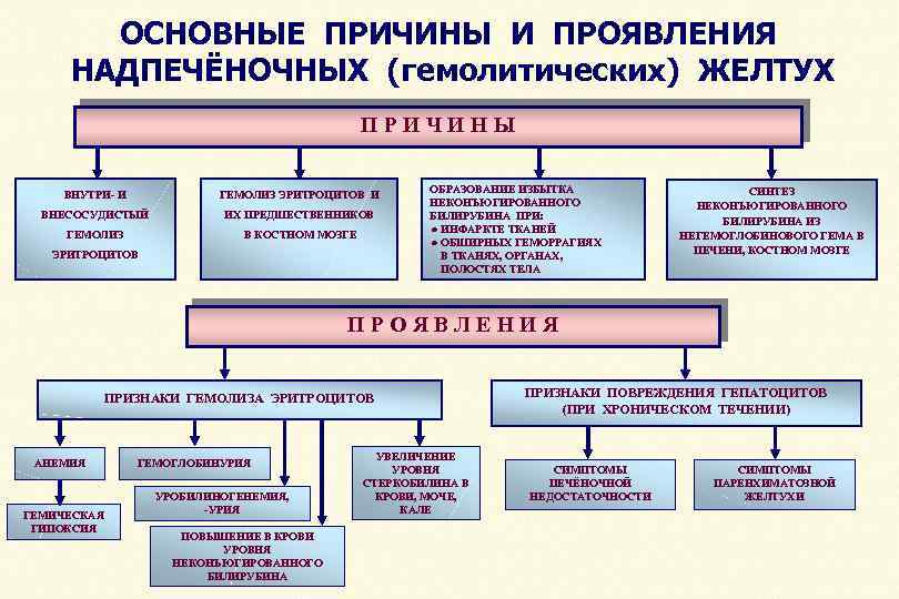 Схема гемолитической желтухи