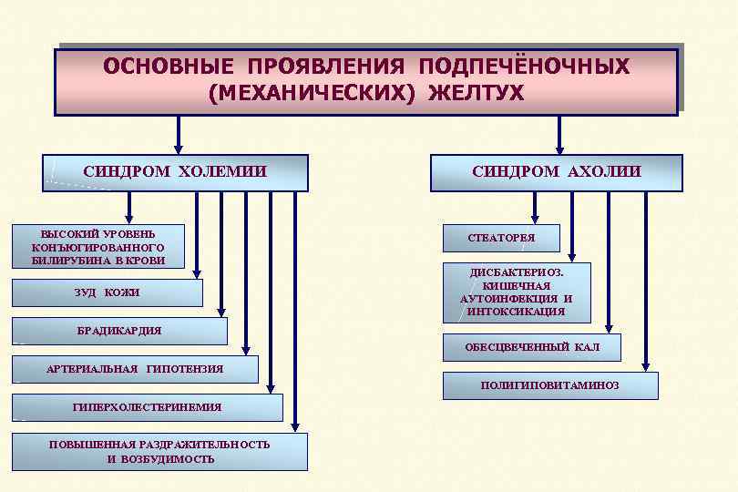 ОСНОВНЫЕ ПРОЯВЛЕНИЯ ПОДПЕЧЁНОЧНЫХ (МЕХАНИЧЕСКИХ) ЖЕЛТУХ СИНДРОМ ХОЛЕМИИ ВЫСОКИЙ УРОВЕНЬ КОНЪЮГИРОВАННОГО БИЛИРУБИНА В КРОВИ ЗУД
