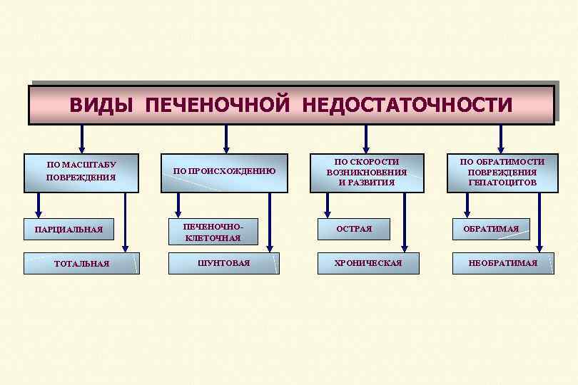 ВИДЫ ПЕЧЕНОЧНОЙ НЕДОСТАТОЧНОСТИ ПО МАСШТАБУ ПОВРЕЖДЕНИЯ ПАРЦИАЛЬНАЯ ТОТАЛЬНАЯ ПО ПРОИСХОЖДЕНИЮ ПЕЧЕНОЧНОКЛЕТОЧНАЯ ШУНТОВАЯ ПО СКОРОСТИ