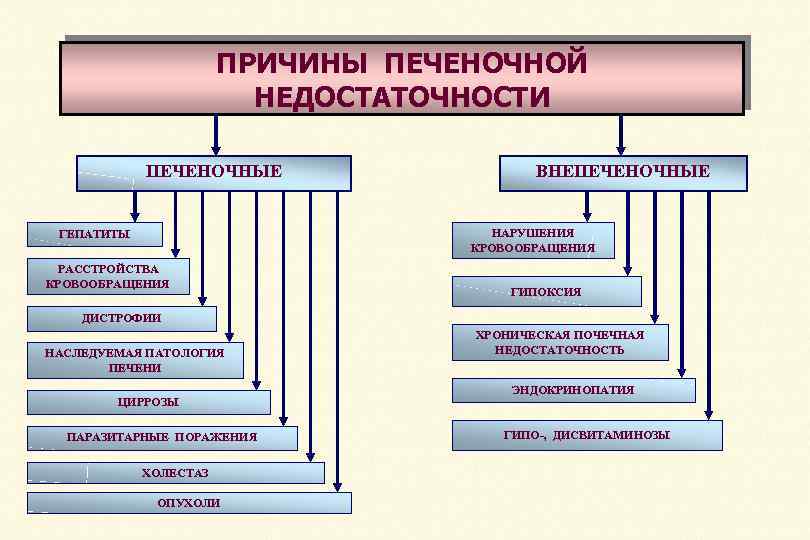 ПРИЧИНЫ ПЕЧЕНОЧНОЙ НЕДОСТАТОЧНОСТИ ПЕЧЕНОЧНЫЕ ВНЕПЕЧЕНОЧНЫЕ НАРУШЕНИЯ КРОВООБРАЩЕНИЯ ГЕПАТИТЫ РАССТРОЙСТВА КРОВООБРАЩЕНИЯ ГИПОКСИЯ ДИСТРОФИИ НАСЛЕДУЕМАЯ ПАТОЛОГИЯ