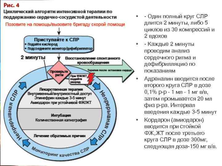  • • - Один полный круг СЛР длится 2 минуты, либо 5 циклов