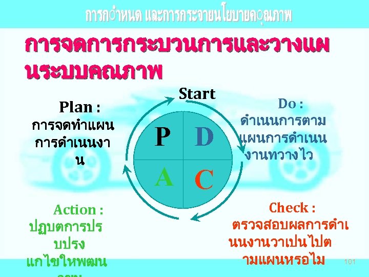 การจดการกระบวนการและวางแผ นระบบคณภาพ Plan : การจดทำแผน การดำเนนงา น Action : ปฏบตการปร บปรง แกไขใหพฒน Start P