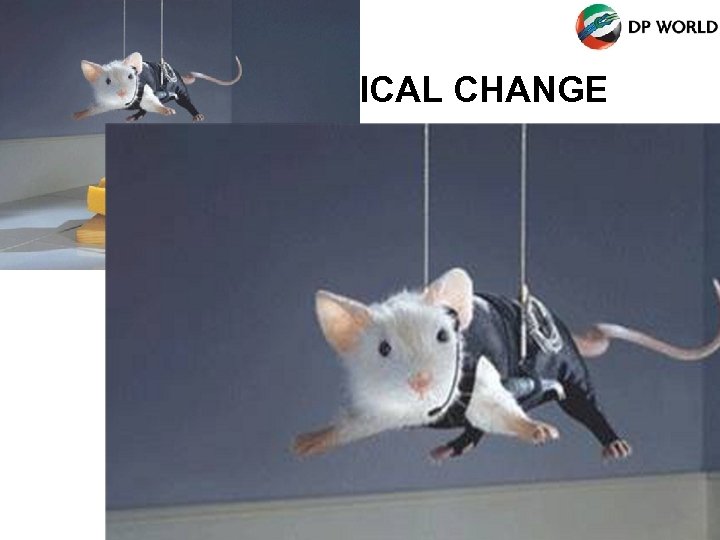 PART III - RADICAL CHANGE 