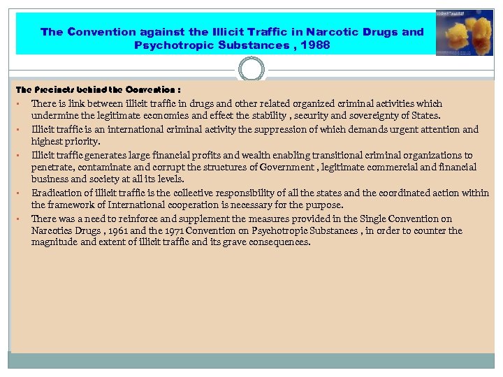 The Convention against the Illicit Traffic in Narcotic Drugs and Psychotropic Substances , 1988