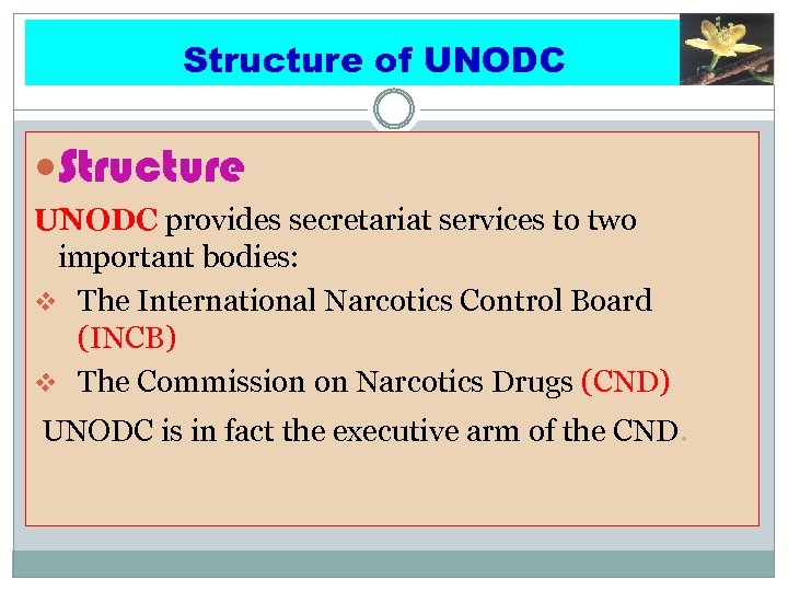 Structure of UNODC Structure UNODC provides secretariat services to two important bodies: v The