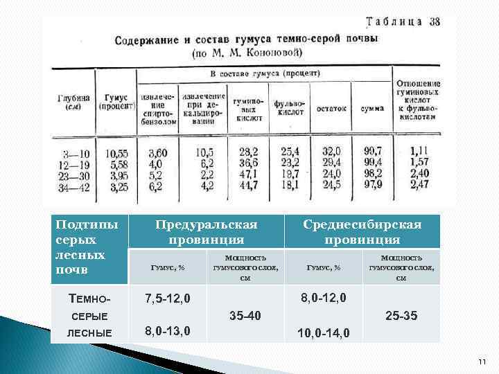 Подтипы серых лесных почв ТЕМНО- Предуральская провинция МОЩНОСТЬ ГУМУС, % ГУМУСОВОГО СЛОЯ, МОЩНОСТЬ ГУМУС,