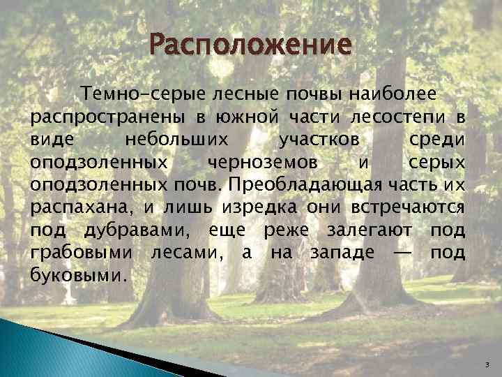 Серые лесные описание. Сообщение о серой Лесной почве. Темно-серые Лесные почвы. Тёмно-серая Лесная почва. Сообщение про серую лесную почву.