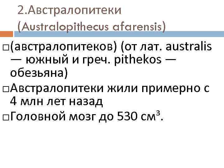 2. Австралопитеки (Australopithecus afarensis) (австралопитеков) (от лат. australis — южный и греч. pithekos —