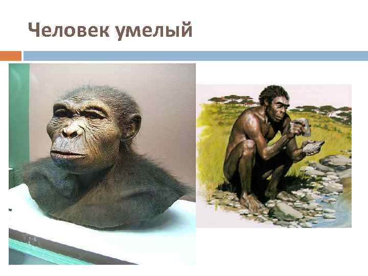 Человек умелый 