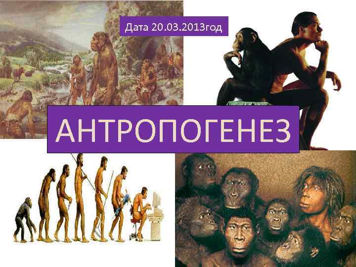 Дата 20. 03. 2013 год АНТРОПОГЕНЕЗ 