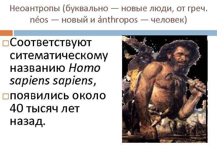 Неоантропы (буквально — новые люди, от греч. néos — новый и ánthropos — человек)