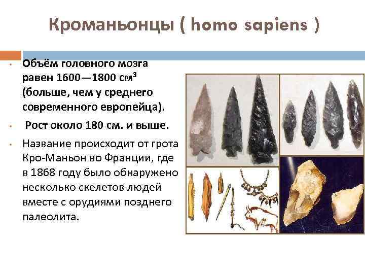 Кроманьонцы ( homo sapiens ) • • • Объём головного мозга равен 1600— 1800