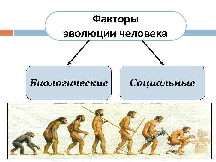 Биологические факторы эволюции