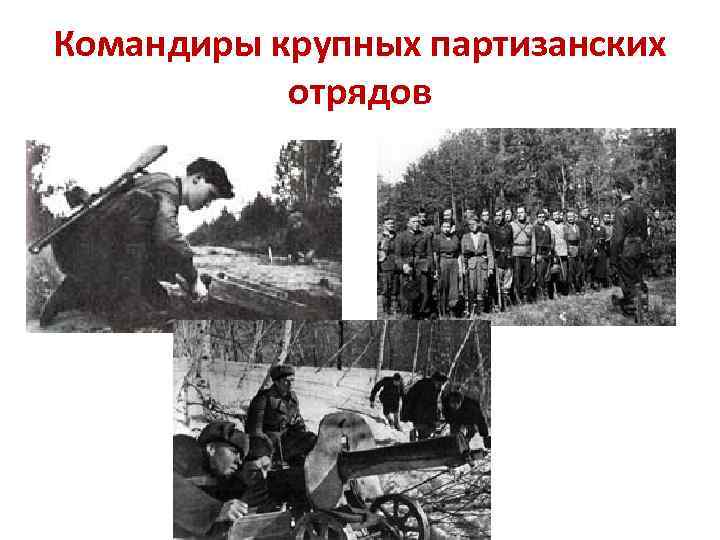 Командиры крупных партизанских отрядов 